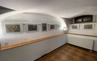 Výstava „Portrét a akt technikou Van Dyke“