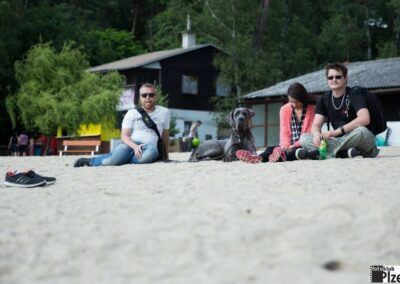 skupina lidí sedí na vrcholu písečné pláže.