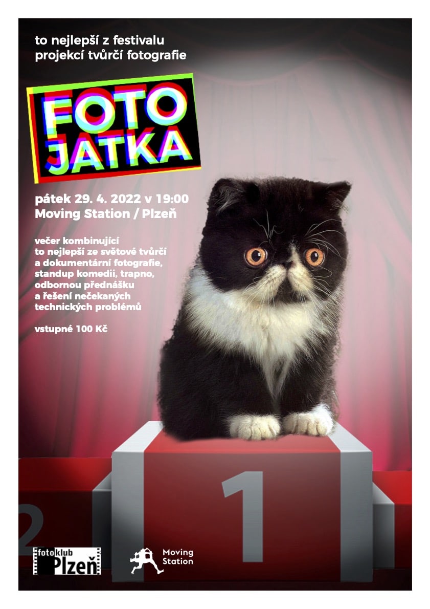 černá a bílá kočka sedící na červeném poli.